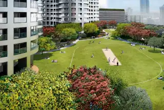 Cricket Practice Pitch